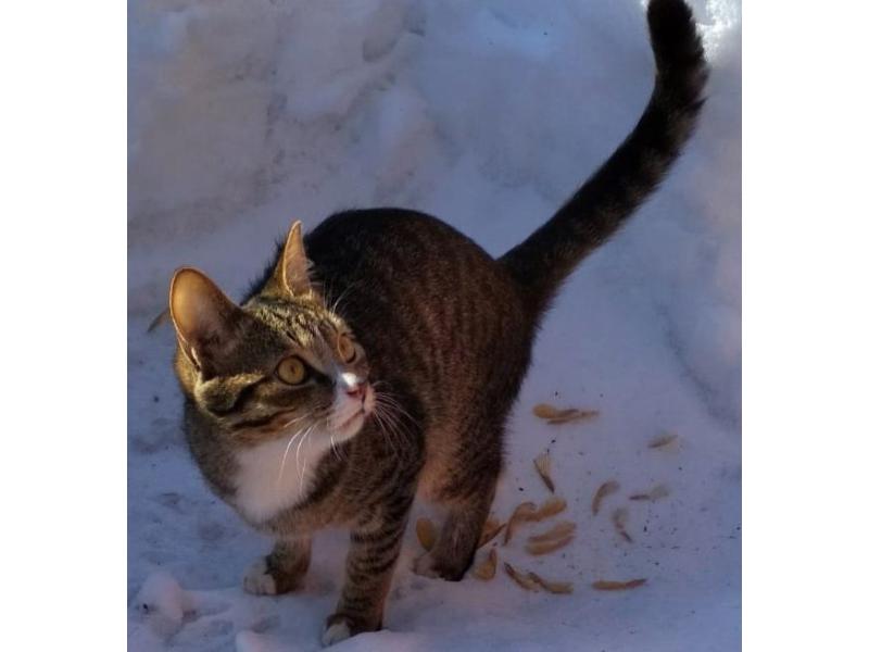  :          ,        