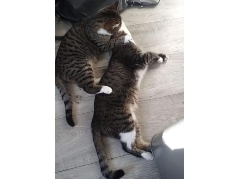   ,    :      ,   