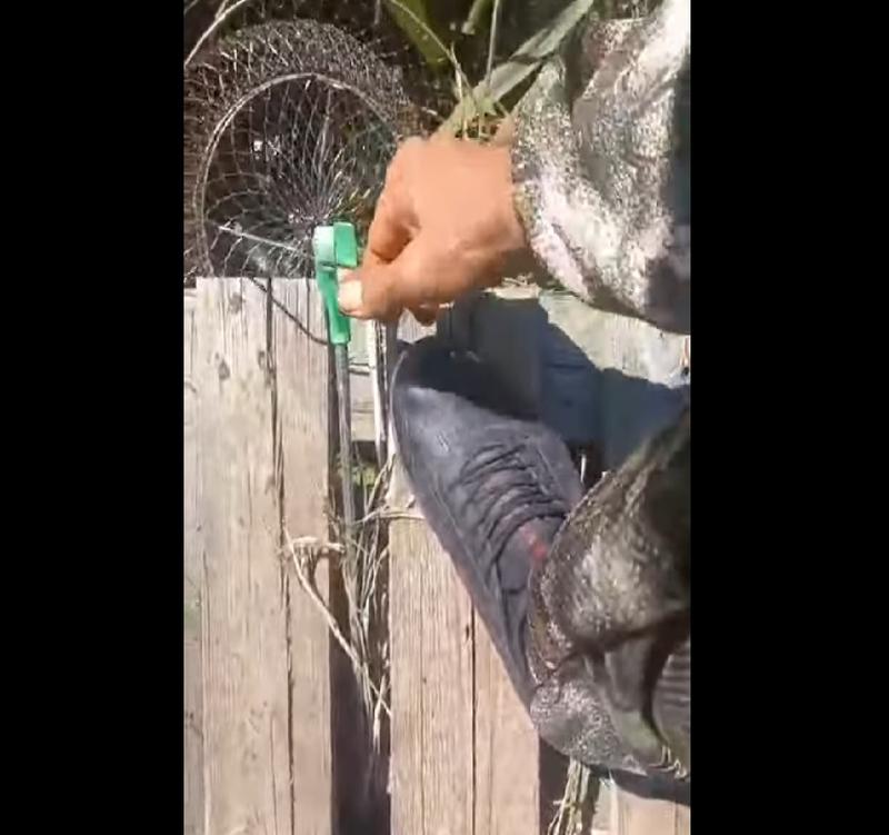        :        