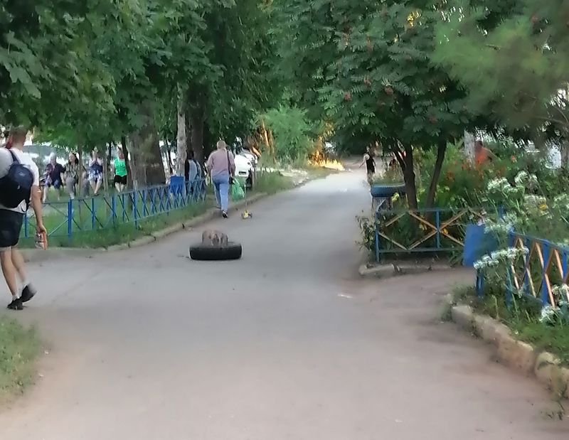    ,    :  ,  ,   