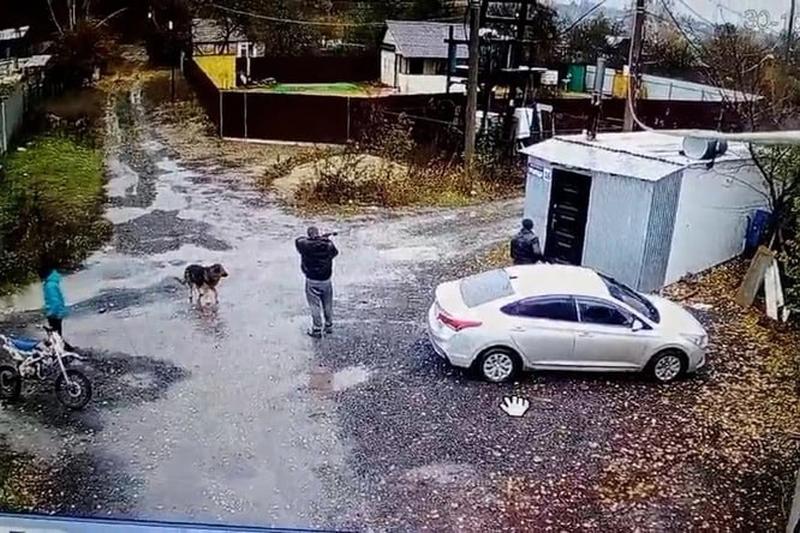       :     