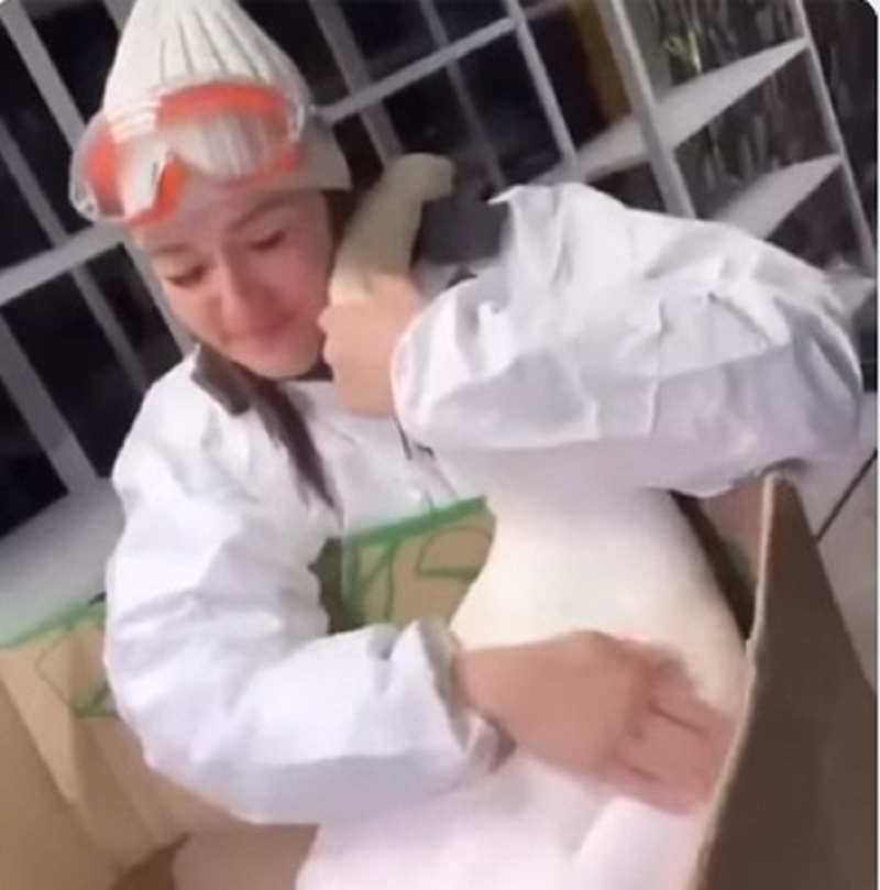         -     