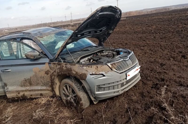  :      Skoda   