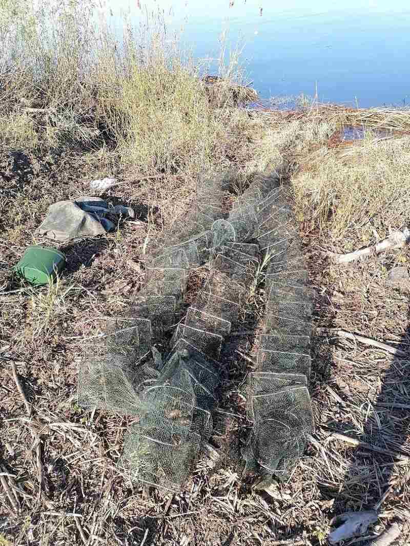 «Рачья схема» на Волге обойдется браконьеру недёшево