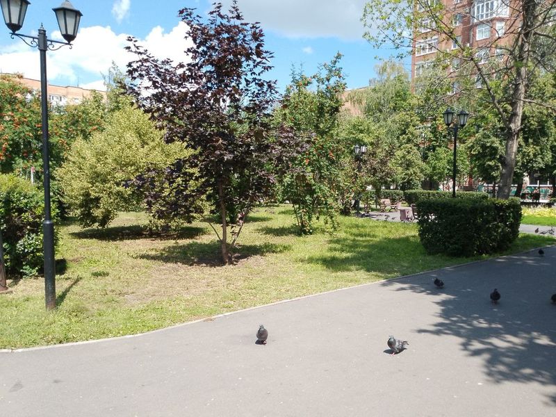 Всё поразило девушку, не видевшую Сызрань много лет - и даже деревья
