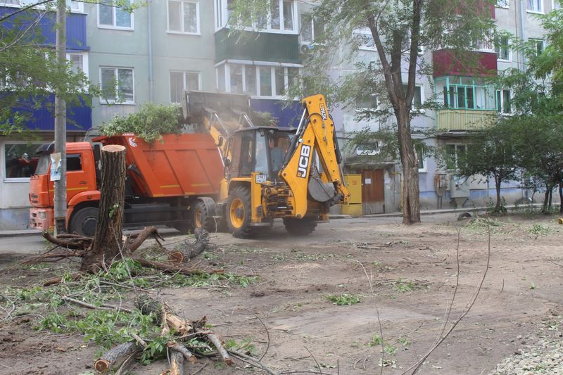В сызранском дворе выложат брусчаткой дорожки и избавят жителей от опасных деревьев