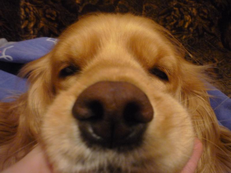 �������� ������� �� ���� ������������ ��������� ������ � �������