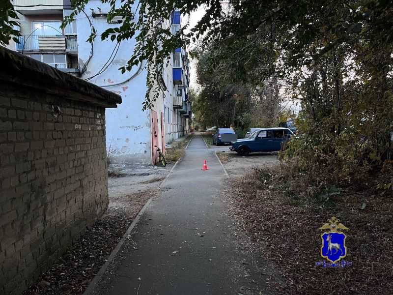 � ������� �������� Renault ���� �� �������� 8-������� �������������