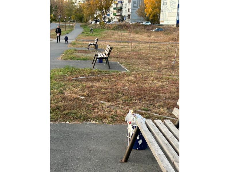 Переулок Лодочный вместо урн заполонили ведра из-под краски