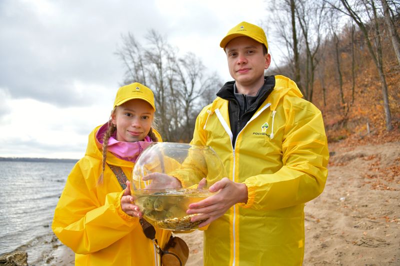 В Волгу выпущено 16,5 тысяч мальков сазана - сладкоежки и будущей зачетной добычи рыбаков
