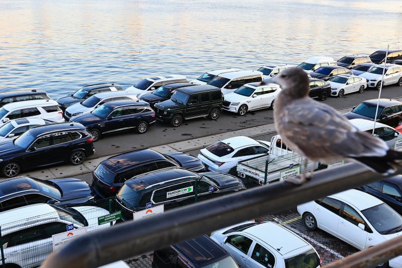 Прощайте, Toyota и BMW: вступил в силу драконовский утильсбор